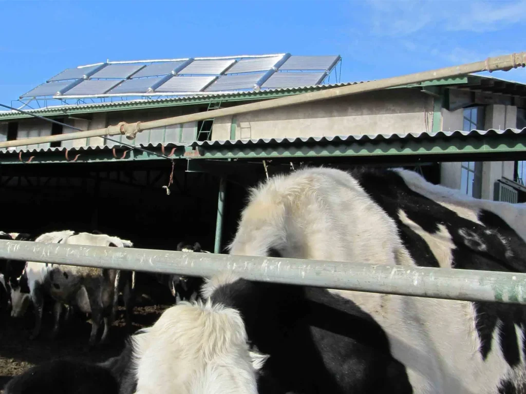 solar water heater 1